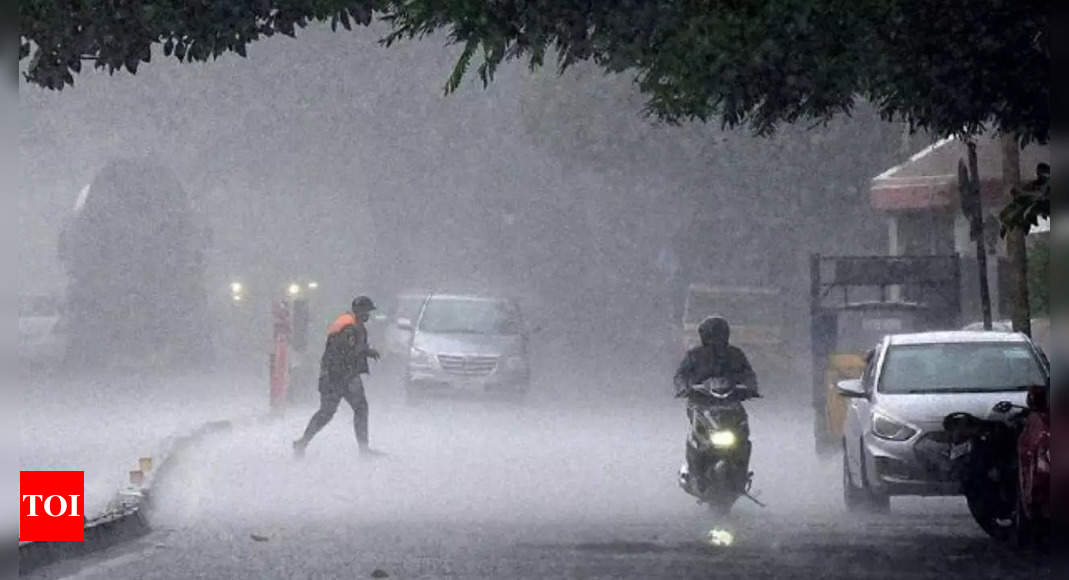 Rain continues to batter Karnataka, red alert in 7 districts ...