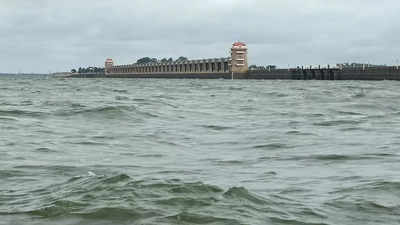 Karnataka's Tungabhadra dam witnesses highest water level in 2 decades
