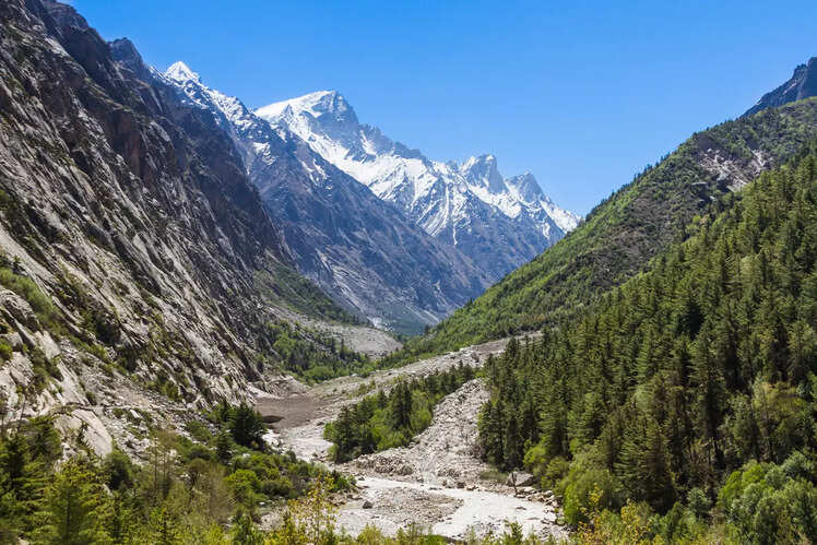Gangotri National Park