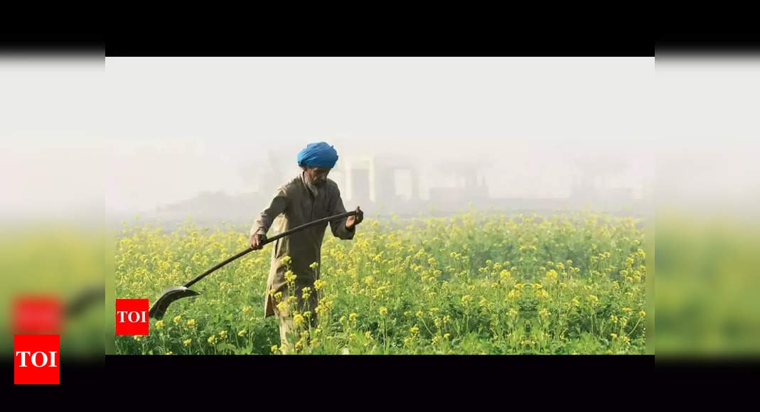 Conventional farmers need to become modern day entrepreneurs – Times of India