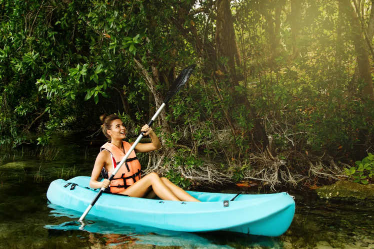 Mangrove kayaking is a thing here