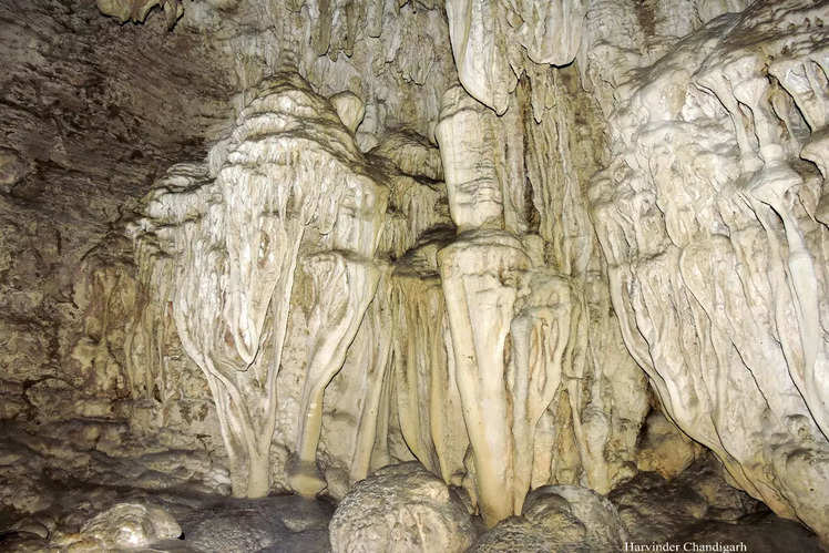 Go see the limestone caves at Baratang Island