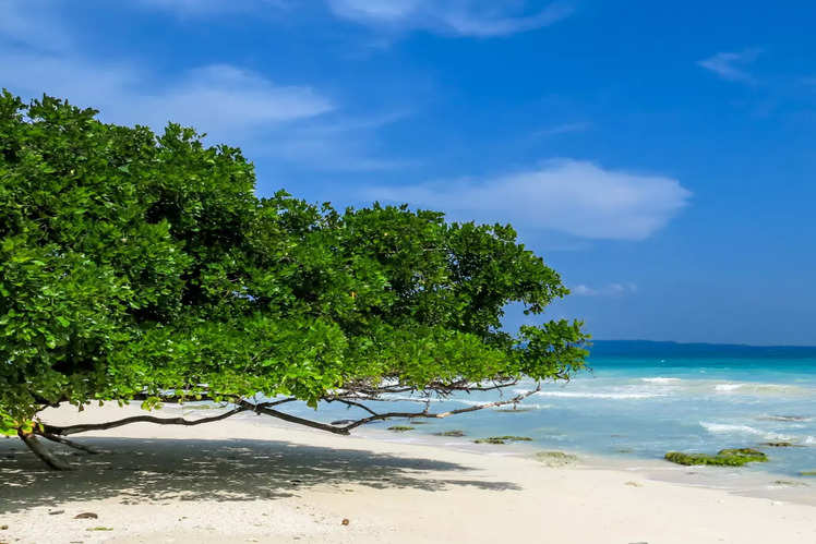 Best ways to experience the Andamans