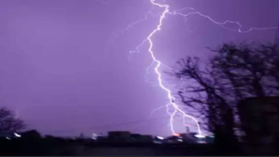 banner img