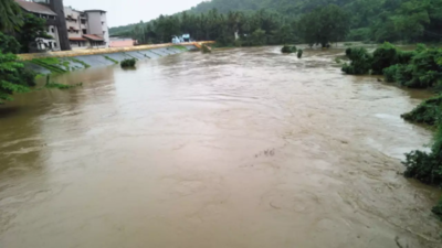 Himachal Pradesh: 3 cowsheds, animals washed away in Bilaspur flash floods