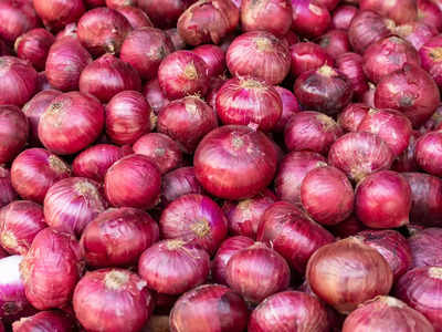 Government throws open grand onion challenge