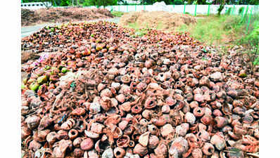 BJP pitches for use of coconut shells in nurseries