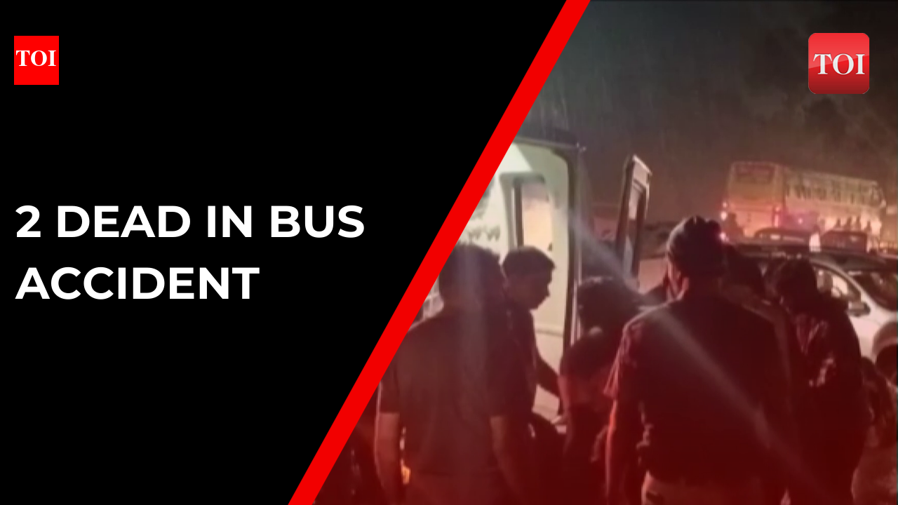 Gujarat: Two die as bus carrying 50 passengers falls into gorge in Dang