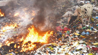 Chennai: Illegal waste dump yard along Cooum catches fire