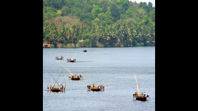 Wrd: Goa: Water levels of rivers, dams below warning mark | Goa News ...