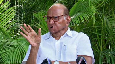 MVA allies should contest 2024 Maharashtra assembly elections together, says Pawar