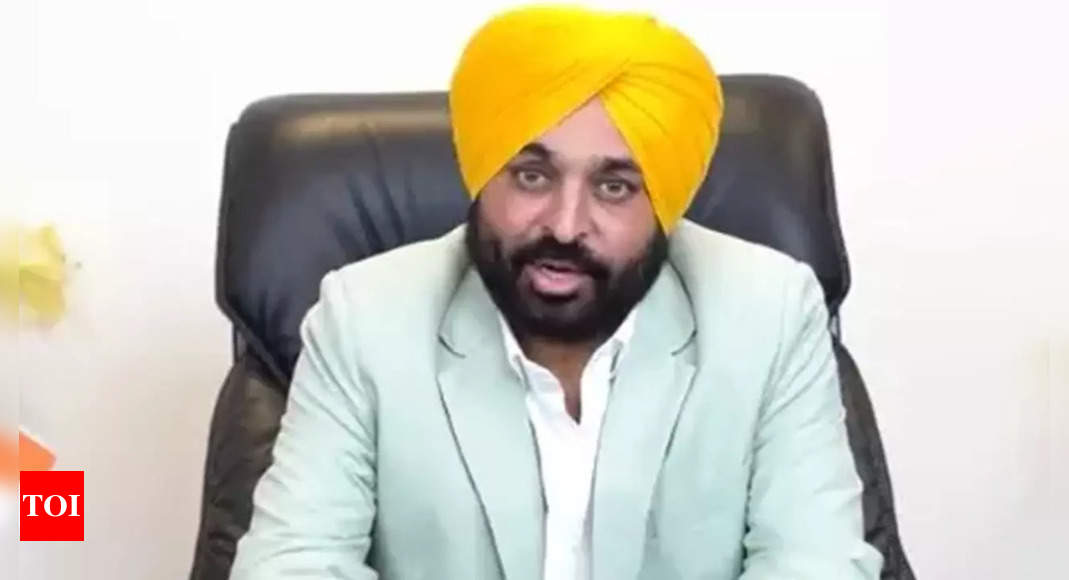 Bhagwant Mann isolated in assembly land demand | India News – Times of India