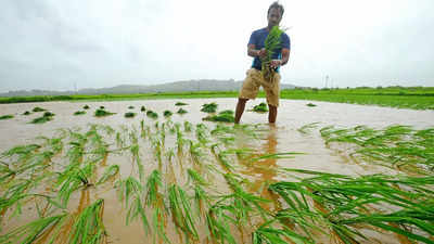 Natural farming is service to ‘Mother Earth, gaumata’: PM Modi