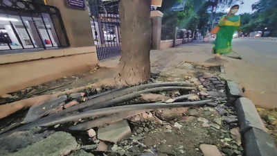 Chennai: Tangedco’s exposed cables pose a life threat to public