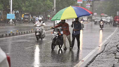 Rain bounty: In a week, Bhopal gets 250mm rain; more likely