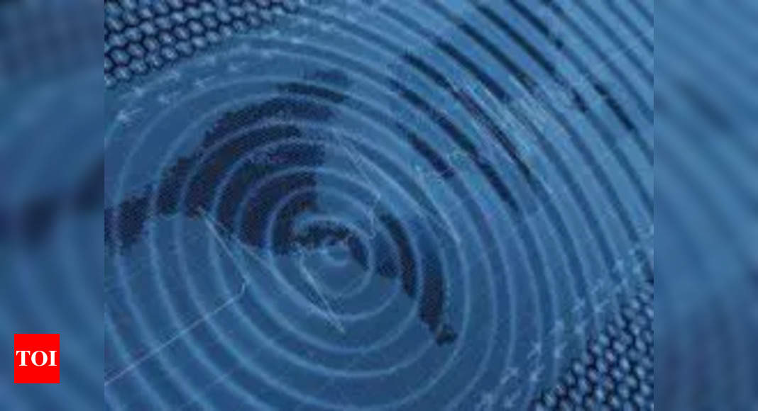 Chhattisgarh: 4.3 magnitude earthquake hits Korea region;  No victims |  India news