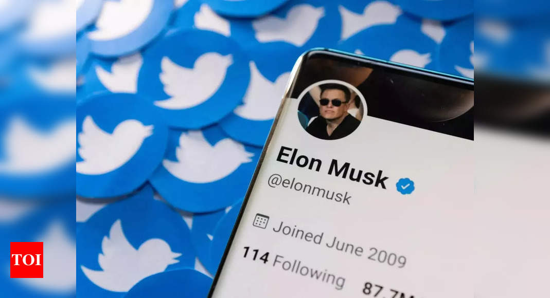 Twitter stock sinks as Musk mocks lawsuit threat – Times of India
