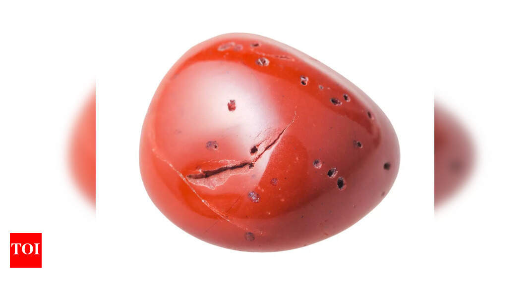 All about coral The organic gemstone Times of India