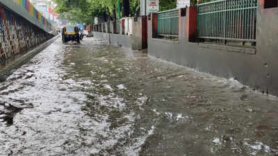 Thane rains: 18 trees uprooted, waterlogging reported at few places