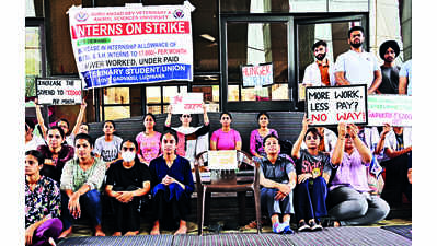 For hike in stipend, Gadvasu students start hunger strike