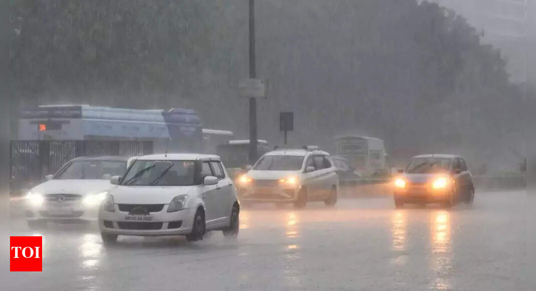 Mumbai Leptospirosis cases may rise after heavy rain spell Mumbai