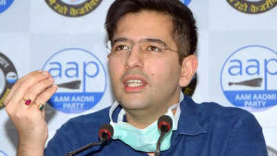 AAP MP Raghav Chadha as Punjab advisory panel chief: Plea in HC ...