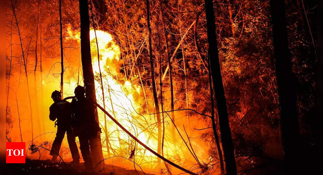 Les incendies de forêt font rage dans le sud-ouest de la France avec 1 500 hectares brûlés