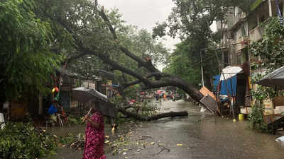 Heavy rain lashes Mumbai; flooding in low-lying areas, road traffic hit