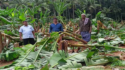 Kerala: Strong winds, rain wreak havoc in Ernakulam's Kothamangalam taluk