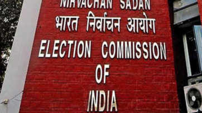 Team-Edappadi K Palaniswami submits affidavits to Election Commission