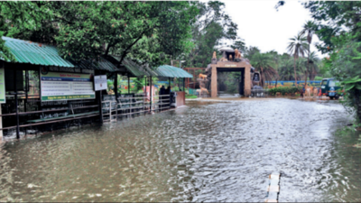 Telangana Rains: 1 More Dead, 3 Missing As Rains Batter Telangana ...