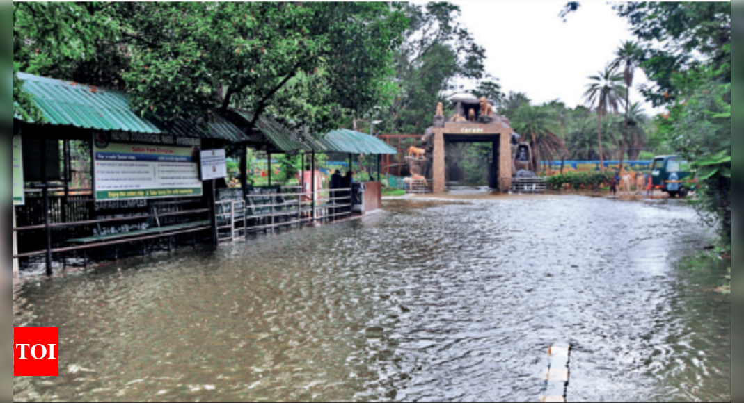 Telangana Rains: 1 More Dead, 3 Missing As Rains Batter Telangana ...