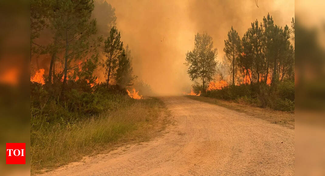 Wildfires Scorch Parts Of Europe Amid Extreme Heat Wave - Times Of India - Vimarsana News