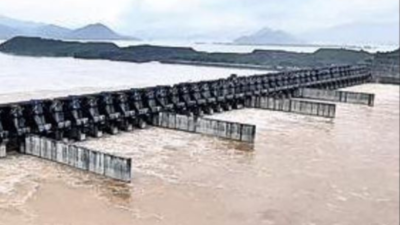 Andhra Pradesh rain: Polavaram gates pass flood test