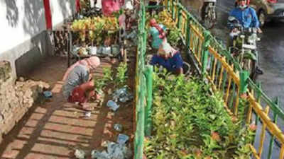 Kolkata: Green verges on roads to act as buffer between vehicle fumes & pedestrians
