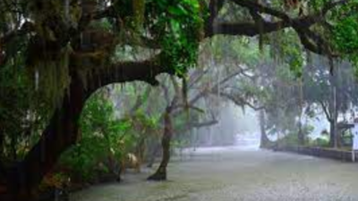 banner img