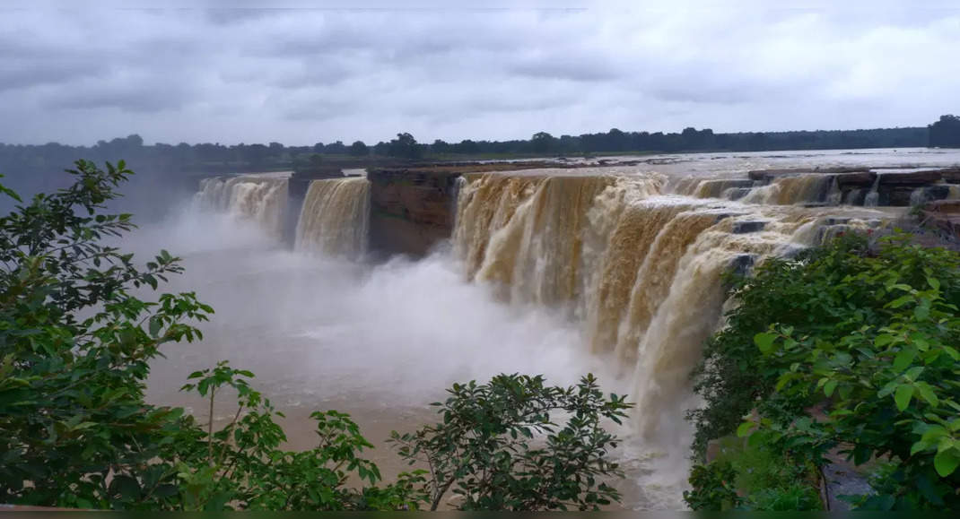 Chhattisgarh to host local food festival from July 17 to August 7 ...