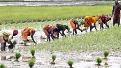 Kharif sowing gets push this week, acreage deficit may end