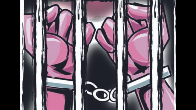 banner img