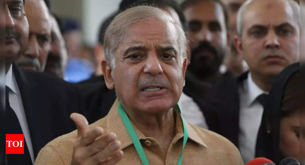 Pakistan court declares PM Shehbaz Sharif’s son Suleman proclaimed offender in money laundering case – Times of India