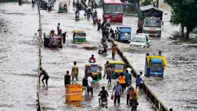 Heavy rains: Gujarat CM reviews rescue relief, road repair work