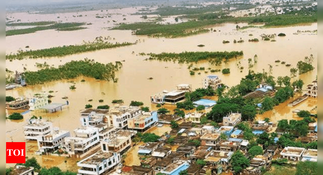 Army: Telangana: Army Called Out For Relief Operations In Flood-ravaged 