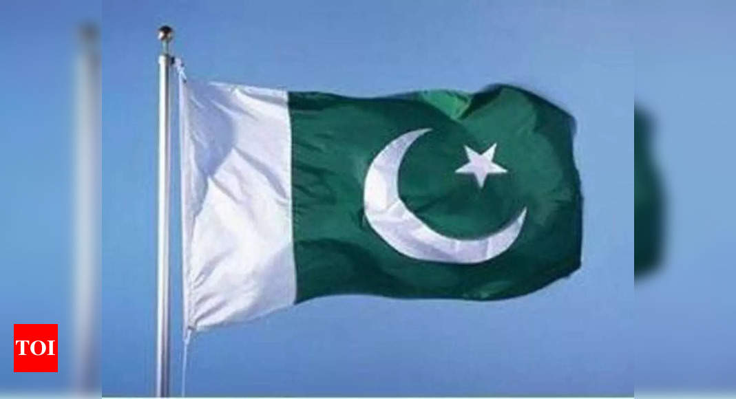 Pakistan assures IMF over CPEC energy deals: Report – Times of India