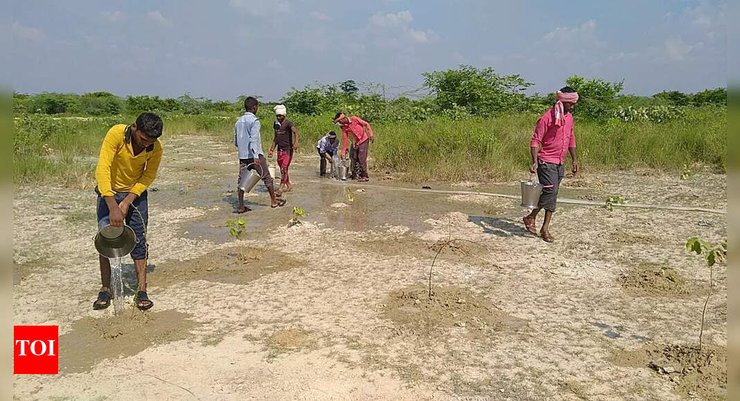 Uttar Pradesh: Kasganj takes lead in creating Ganga Vans | Lucknow News ...