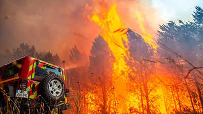 Wildfire rages in Bordeaux; fire pilot killed in Portugal