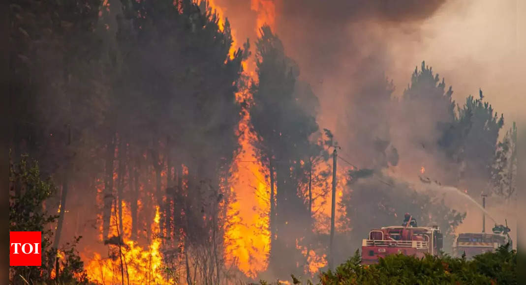 L’Espagne et le Portugal luttent contre les incendies de forêt alors que les vagues de chaleur brûlent le sud de l’Europe