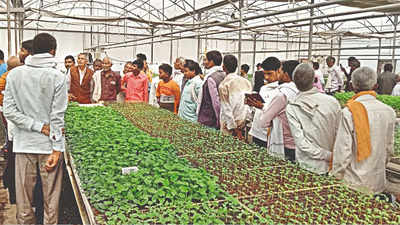 2 hi-tech veggie nurseries to be set up in 5 months in Gautam Budh Nagar