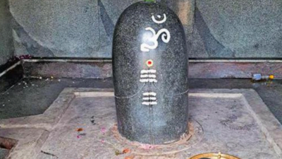 Karnataka: Archaeologists confirm remnants of Chola temple near Kunigal Lake | Bengaluru News – Times of India