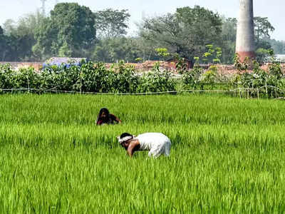 Farmer income up 2 times for some crops since FY18