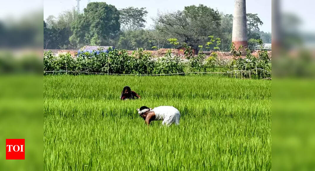 Farmer income up 2 times for some crops since 2018